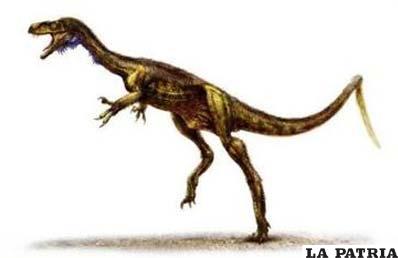 Ilustración de una especie desconocida de dinosaurio, el Eodromaeus o ´corredor del alba´