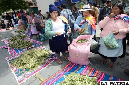 Jornada de acullico en Bolivia