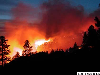 Incendios en Chile provocan un gran daño al medio ambiente