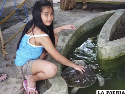 Una niña acaricia una tortuga enferma que se recupera en un estanque del centro de conservación Pawikan, en el Oeste de Filipinas