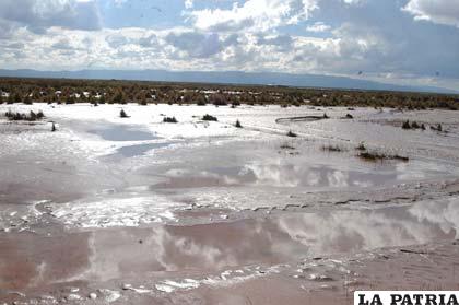 Alrededor de 1.000 bolivianos promedio pierden los productores a causa de desastres naturales