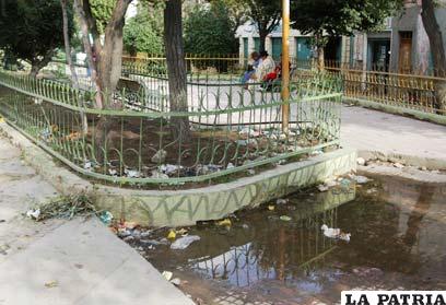 La basura y las aguas estancadas le dan una pésima imagen a la popular plazuela  Walter Khon