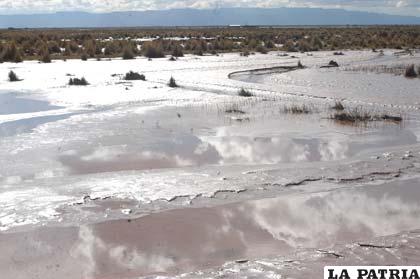 El río Desaguadero inundó los pastos y las áreas de forraje de las comunidades aledañas