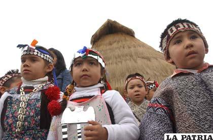 Niños indígenas chilenos desconocen el idioma originario de sus regiones