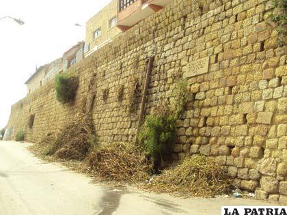 Raíces y plantas dispersas en la calle Aldana 