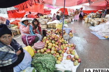 Fruta de temporada es comercializada del productor al consumidor