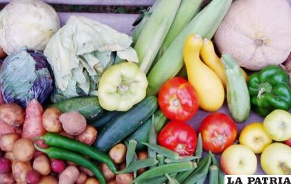 Algunos alimentos tuvieron una incidencia positiva en diciembre