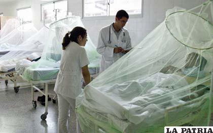 Severas medidas sanitarias para combatir el dengue en hospitales paraguayos