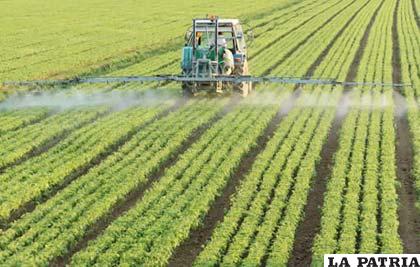 La tierra debe ser trabajada por los dueños durante cinco años