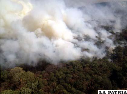 Existe preocupación en Colombia por los incendios forestales