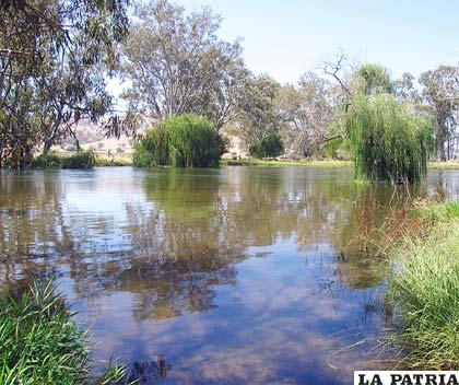 El famoso río Murray, en Australia