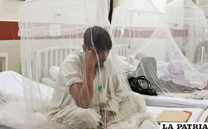 Los enfermos de dengue aumentan en América Latina