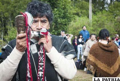 Los mapuches en la lucha por la autodeterminación