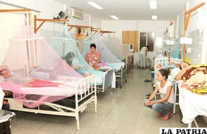 El dengue ha ocasionado la hospitalización de 670 pacientes en el Paraguay