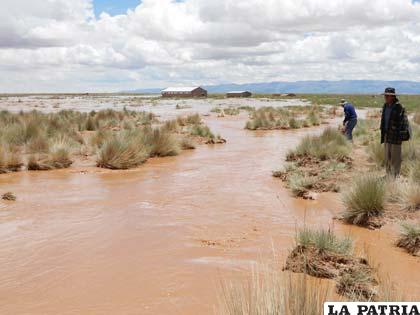 Este año la crecida del río Desaguadero causó muchos problemas