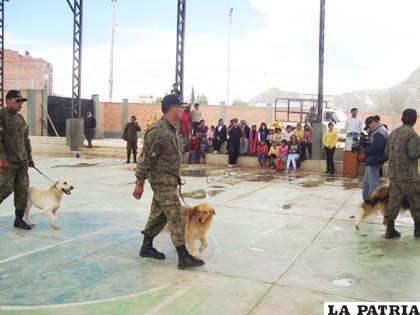Efectivos del Centro de Adiestramiento de Canes ofrecieron un espectáculo para los niños