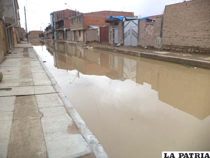 En las aguas concentradas en la zona Noreste hay sapos, según los vecinos