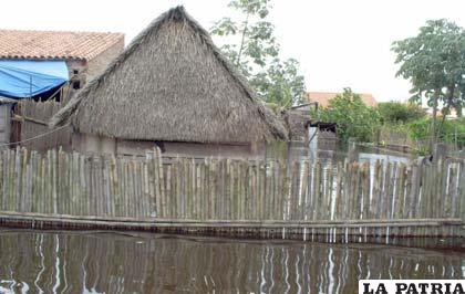 Lluvias en Beni afectan seriamente a viviendas y ganadería