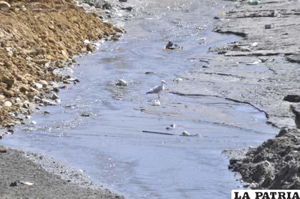 El río de San Juan de Sora Sora arrastra residuos mineros hasta el lago Poopó