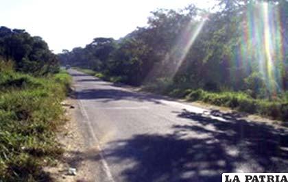 Gobierno promueve construcción de carreteras en la Chiquitanía