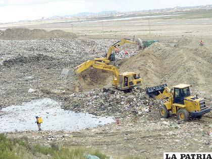 El botadero de Oruro es un foco de infección donde pululan moscas, roedores, perros y otros animales