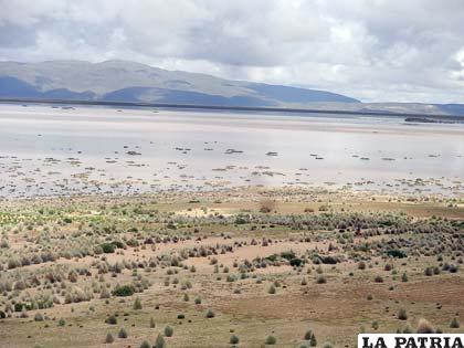 Terreno donde se emplazaría el nuevo relleno sanitario se encuentra inundado