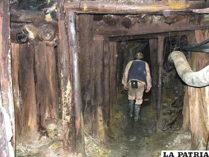 Lluvias provocan el derrumbe de algunas galerías del sector cooperativizado