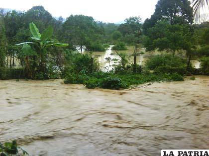 Desborde del río Beni en tiempo de lluvia ocasiona daños de consideración