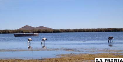 Lago Poopó disminuyó su nivel de agua