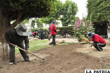 Arduo trabajo de jóvenes en el mantenimiento de áreas verdes