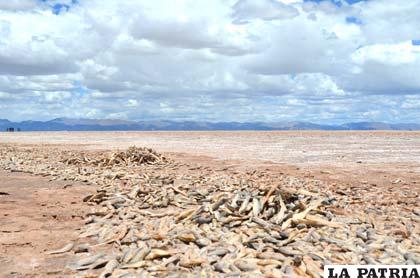 Una tétrica panorámica