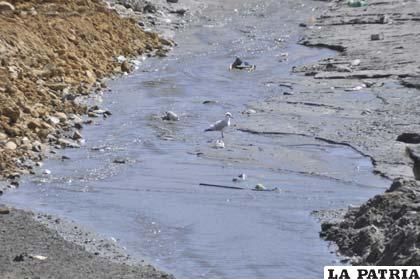 Persiste contaminación en el río que pasa por Huanuni