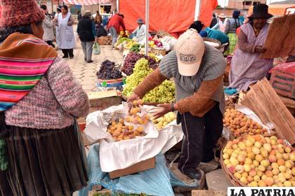 Venta de fruta al por mayor