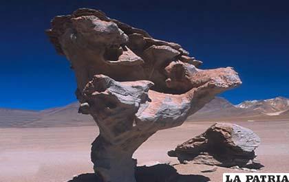El árbol de piedra del salar de Uyuni