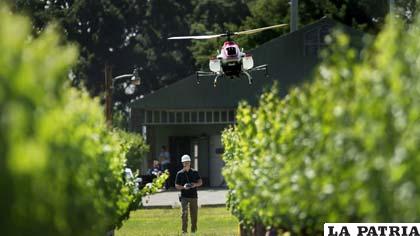 El uso de drones en la agricultura parece ofrecer infinitas opciones