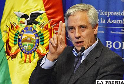 El Vicepresidente Álvaro García Linera se refirió a los gastos reservados /APG