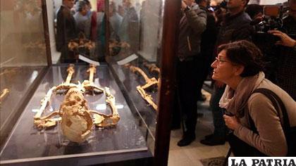Medio millar de piezas arqueológicas sacadas de contrabando de Egipto fueron repatriadas