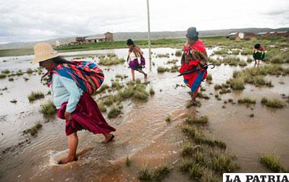 Familias afectadas por las lluvias en el altiplano /ANF