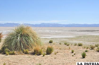 Una imagen del lago Poopó, ahora un desierto, antes un humedal de importancia internacional