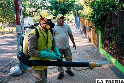 Paraguayos alertas por la gran proliferación del mosquito aedes aegypti, portador del zika