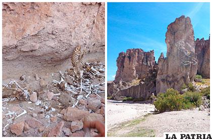 Ciudad Encantada de Pumiri muestra diversas formaciones rocosas y restos de chullpas