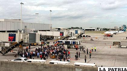El susto y la sangre marcaron el viernes en el aeropuerto de Fort Lauderdale /ecestaticos.com