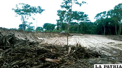 Parte del desmonte de árboles en cercanías del río Surutú /Tomás Monasterios