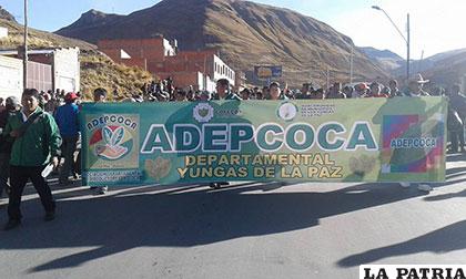 Cocaleros de La Paz se sienten discriminados por el Presidente Morales y observan supuestas preferencias con el Chapare /fmbolivia.com.bo
