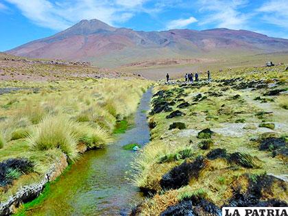 Chile demandó ante la CIJ de La Haya a Bolivia por las aguas de los manantiales del Silala