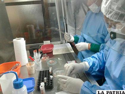 Trabajo permanente en el laboratorio de virología