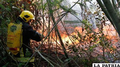 Varios países enviarán ayuda para combatir los incendios forestales /yucatan.com