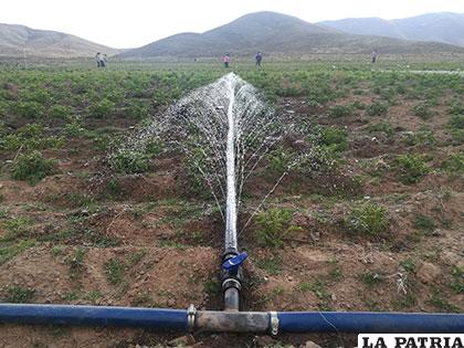 El nuevo sistema de riego fortalecerá la actividad agrícola /Ministerio de Medio Ambiente y Agua