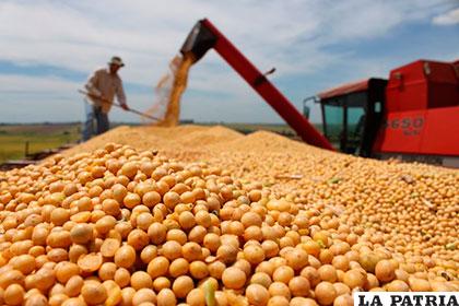Bolivia se encuentra en el décimo lugar a nivel mundial en la producción de soya