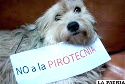 Sociedades protectoras de animales promueven la eliminación de la pirotecnia/ mascotas.com.py